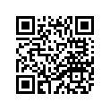 4BP-24110-20-04 