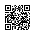4BP-24110-20-05 4BP241101006