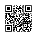 4BP-24110-20-07 4BP2411011X4