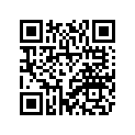 4D3-W0045-00-00 Колодки Тормозные (К-т 2 шт.)