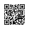 4D3-W0045-10-00 Колодки Тормозные (К-т 2 шт.)