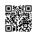 4D3-W0046-50-00 Колодки Тормозные (К-т 2 шт.)