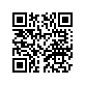 4D9-28227-00-00 Виброгаситель