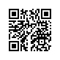 4D9-28416-00-00 Виброгаситель