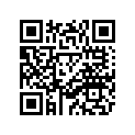 4DL-F3110-00-00 Внутренняя трубка