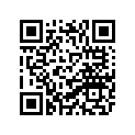 4DP-14102-31-00 