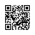4DP-16151-00-00 