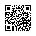 4DP-21411-00-00 