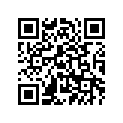 4DP-28381-00-00 