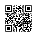 4DP-28381-20-00 
