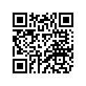 4DY-E1631-29-00 