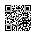 4EU-11605-10-00 Кольца Поршневые (Комплект)