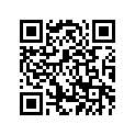 4FL-21611-20-00 