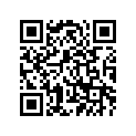 4FL-24311-00-00 
