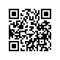 4FM-28303-11-00 