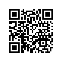 4FM-Y2808-21-P0 