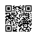 4G0-14142-32-00 . Jet, Pilot (# 32.5)