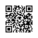 4G0-21171-00-00 