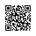 4G0-21781-00-00 