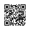 4G0-24110-00-06 