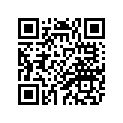 4GG-21110-00-00 