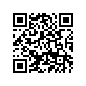 4GG-21339-00-00 