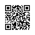 4GG-21511-00-00 