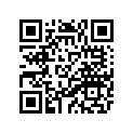 4GG-21611-00-00 