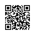 4GG-25717-00-00 