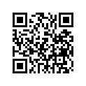 4GL-25388-00-00 ﾌﾟﾗｰ,ﾁｴｰﾝ 1