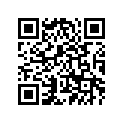 4GT-11111-00-00 