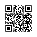 4H7-81812-00-00 ﾌﾞﾗｼ 2