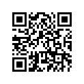 4HM-25389-00-00 ﾌﾟﾗｰ,ﾁｴｰﾝ 2
