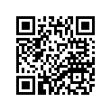 4JT-21110-33-00 