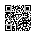 4KL-F3412-20-00 RACE, BALL 2