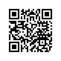 4KM-21110-10-P2 
