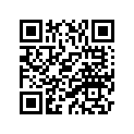 4L1-11610-21-00 Кольца Поршневые (Комплект)