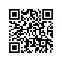4ML-21359-00-00 ﾌﾞﾗｹﾂﾄ,ｺｲﾙ