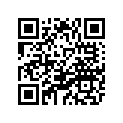 4MX-22199-00-00 Поддержка цепи