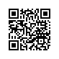 4NK-11631-00-A0 Поршень
