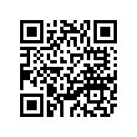 4NK-11635-00-00 Поршень