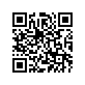 4NK-21621-00-PG FLAP