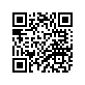 4NX-21110-11-33 