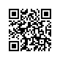 4PE-11651-00-00 . Rod, Connecting