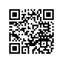 4PR-11651-00-00 Rod, Connecting