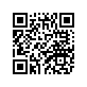 4PU-23103-30-00 Вилка Передняя