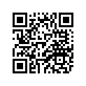 4PX-83328-10-00 STAY, FLASHER 2