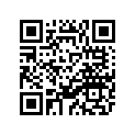 4RF-14451-00-00 エレメント，エアクリ−ナ−