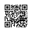 4SG-F4110-00-33 