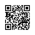 4TR-21613-10-33 STAY 1
